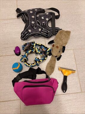 Barely Used —> New : Dog Bundle: Toys, Harness, and FURminator
